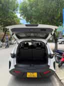 Vinfast Limo Green 2026-1